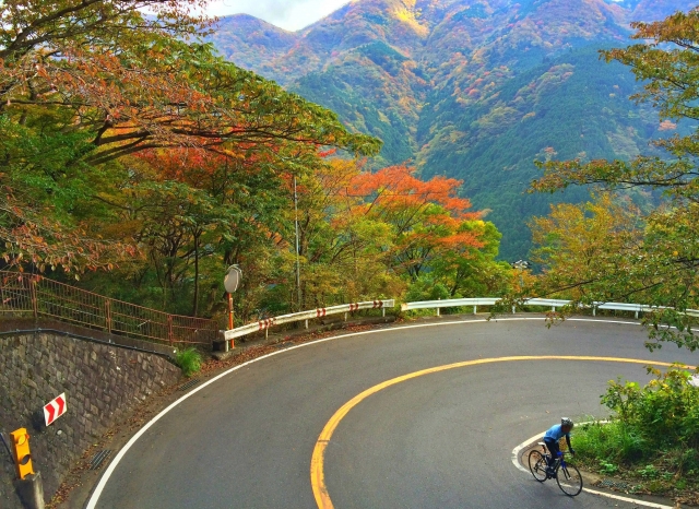 箱根の山道の紅葉